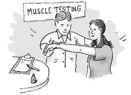 Sketch of a practitioner muscle testing a client's raised arm